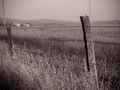 Fence Line #eldoradocounty #california #farm #farmlife #fence #barbwire #pasture #balckandwhite #blackandwhitephotography #pentax #countryroad