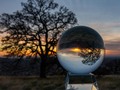 Spherical Sunset #california #cali #nikon #nikonD7200 #nikonphotography #sunset #eldoradohills #eldoradocounty #folsom #oaktree #tree #clouds #crystalball #bluehour #landscape #landscapephotography #distortion