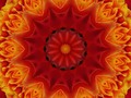 Rose Kaleidocope #california #abstract #rose #kaleidoscope #red #orange #pixel2 #pixel2photography