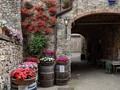 Beautiful Flowers #italy #ig_italy #castellinainchianti #castellina #flowers #laundry #buildings #angolofiorito #winebarrel #winecountry #pixel2 #pixel2photography
