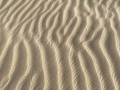 Sand Lines #california #cali #landscape #landscapephotography #ig_landscape #landscapelover #landscapecaptures #outside #outdoorphotography #ig_nature #californiacaptures #californiaphotographer #explorecalifornia #visitcalifornia #sand #pismobeach