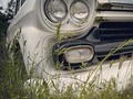 Peeking through the weeds #california #cali #spring #weeds #frontend #headlights #filltheframe #chevrolet #chevy #chevytrucks #stepside #fieldfind #californiaphotographer #explorecalifornia #outsidephotography