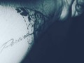 Amor al Tatoo #tattoo #tatuaje #tatuajes #tattooart #ink #tattoos #inked #tattoospain #spaintattoo #tatuajeespaña