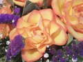 Amo mis flores 💐😍 (en Alajuelita, San Jose, Costa Rica)