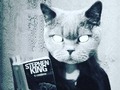 Nuestro escritor favorito de novelas de terror. 😁👍  *  Creativos CAT. Com  *  *  #creatividad  #arte  #talento  #gentecreativa  #creativepeople  #academiacat  #creativoscat  #copycreativo  #influencer  #influencing  #creadoresdecontenido  #copywritinglife  #copycreativa  #copywritinglifestyle  #copywritingtips  #copywriting  #storytellingchallenge  #storytelling  #storyteller  #cats  #catgram  #socialmediainfluencer  #cursosonline (en Alajuelita, San Jose, Costa Rica)