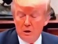 Visita  *  *  Para más memes.  *  *  #donaldtrumpmemes  #DonaldTrump  #fuckingpolitics  #madeleinecasmo  #fakepresident  #voteblue  #bidenharris2020 (en Alajuelita, San Jose, Costa Rica)
