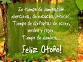 Amo el otoño 🍁🍂🍂🍁🍂🍁  *  *  #madeleinecasmo  #otoño (en Alajuelita, San Jose, Costa Rica)
