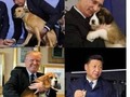 Lo que los líderes del mundo hacen con sus perros.  *  *  #larisasana  #fuckingpolitics  #madeleinecasmo (en Alajuelita, San Jose, Costa Rica)