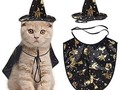 Otra idea para Chinear a tu gato este próximo Halloween.  *  #catsofinstagram  #catgram  #gatos  #Halloween  #gatagram (en Alajuelita, San Jose, Costa Rica)