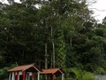 The nature is mesmerizing here in San Carlos.  *  *  🌿🍃🌋🇨🇷❤️👌  *  Pura vida.  *  #CostaRica  #costarica🇨🇷  #madeleinecasmo   (en Costa Rica)