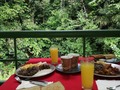 Desayunando en medio de la selva.  *  Sólo en Costa Rica puedes tomar un desayuno en pleno bosque tropical Húmedo a orillas del río.  *  Mi Desayuno típico fue gallo pinto (arroz con frijoles), huevos, pan tostado, jugo de naranja y café. 🍊☕🍳🥚  *  #madeleinecasmo  #madeleinecasmopics  #socialmediainfluencer  #influencer  #costarica🇨🇷  #puravida  #CostaRica (en Costa Rica)