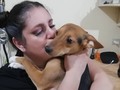 No supero la cara de chineado de éste perro cada vez que le hablo.  *  Es un vacilon, porque apenas digo, Mi Amor, el sale corriendo como si fuera con él.  *  Está allá afuera en la sala, haciendo ruido con la nariz para que lo deje pasar a mi habitación, es un salamero.  *  #RockyFirulais  #amorzaguate  #madeleinecasmo  #madeleinecasmopics (en Alajuelita, San Jose, Costa Rica)