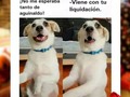 Oops. 😂🤣  *  #larisasana (en Alajuelita, San Jose, Costa Rica)