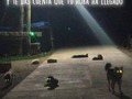 Coño 🤣😂🤣😂  *  #larisasana (en Alajuelita, San Jose, Costa Rica)