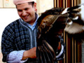 A Falconer with one of his birds at the Medieval Market