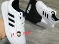 Adidas hombre Watsap3148050106