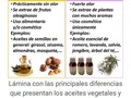 👋 Infórmate!! Diferencias entre aceite vegetal y aceite esencial, son muy diferentes...👌✋