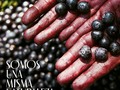 En el día de la biodiversidad, queremos invitarte a repensar juntos el mundo que construiremos cuando todo esto acabe. Cuidar la vida de la naturaleza es cuidar la vida del planeta. Somos una misma naturaleza.