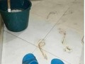 — puedo pasar? — sÍ, pero quítate las chanclas porque estoy trapeando — ok…