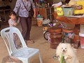 El que se fue pa Villa perdió su silla 😂