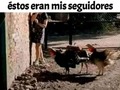 jijiji