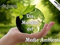 5 de junio Día Mundial del Medio Ambiente 🌊🌳☁❄🌎. . Cada Día Mundial del Medio Ambiente la Organización de las Naciones Unidas (ONU) se centra en un tema con que concienciar al publico sobre un asunto ambiental particularmente apremiante. El tema para el 2019 gira en torno a la "Contaminación del aire" un grave problema que afecta a millones de personas en todo el mundo. . 🔹El 92% de los habitantes del planeta no respira aire limpio. . 🔹La contaminación del aire le cuesta a la economía global US$ 5 billones cada año debido a los gastos en asistencia social. . 🔹Aproximadamente 7 millones de personas en todo el mundo muere prematuramente a causa de la contaminación del aire y casi 4 millones de estas muertes ocurre en la región de Asia y el Pasifico. . 🔹En Venezuela la incompetencia de las autoridades y la falta de conciencia de millones de personas respecto al cuidado del Ambiente, afecta considerablemente la calidad del aire, ya que la quema de cauchos durante las protestas y la rutinaria quema de basura esta originando elevados niveles de contaminación y severas afecciones a la salud de las personas. . 🔹Dichas quemas produce gases tóxicos que afecta el sistema respiratorio humano, dando lugar a la aparición inmediata o progresivas de enfermedades bronco-respiratorias, alergias, ahogos, asma y hasta cáncer. . ✔Es deber de todos tomar conciencia y sumarnos de manera activa a la conservación del Ambiente. . #educaciónambiental #conservaciónambiental🌱  #airelimpio #ecoturismo #ecoturismoseguro #mapacheecoaventura #DiaMundialdelMedioAmbiente