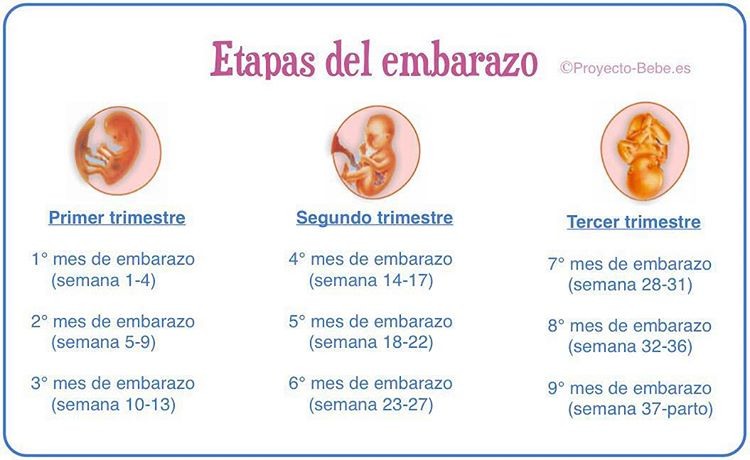Prueba azucar embarazo semana