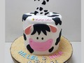 Vaca Cake #vaca #vacacake #cow #cowcake #farn #granja #fondant #fondantdesing #fondantcake #fondantdecor #fondantartist #fondantpanana #cakesdesign #cakesartesanales #cakeartistry #cakedepollera #cakespty