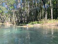 Rolling on a river🐢