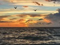 EL dijo "Un mandamiento nuevo os doy: que os améis los unos a los otros; que como yo os he amado, así también os améis los unos a los otros. Juan 13:33 ---> Soy hija de emigrante, mi familia paterna es Siria o como nos llaman en Venezuela de cariño "turcos" (aunque sea otro país jeje), mi mamá es criollita así que estamos bien mezclados, crecí rodeada de italianos, portugueses, españoles y chinos (aunque fuesen japoneses, en Venezuela todos son "chinos") Mi país fue cuna de muchísimos emigrantes que se vieron obligados a abandonar el suyo. Años más tarde la vida y las circunstancias me trajeron a vivir en Miami, una ciudad multicultural, aquí convivo con cualquier cantidad de nacionalidades diariamente, Dios me ha regalado amigos mexicanos, dominicanos, puertorriqueños, argentinos, colombianos, cubanos y pare de contar; les puedo decir que es de las experiencias más enriquecedoras: poder estar cerca de tantas culturas, tantos dialectos, tantas costumbres: es mágico. No logro entender en qué momento empezamos a ser nosotros mismos quienes marcáramos la diferencia entre razas. Repudio inmensamente la xenofobia pero repudio aun más el odio y el resentimiento que van escondidos detrás. Yo veo personas, así fue como me enseñaron en casa, veo seres humanos, me compadezco con las situaciones (sean en mi país o cualquier parte del mundo) yo no veo color, no veo raza, no veo clase social, no veo banderas, SOLO VEO SERES HUMANOS! Seamos eso, más humanos.❤️ #PAZ