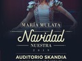 Tenemos una cita este 15 de diciembre, vive al lado de tu familia los rituales perdidos de la navidad colombiana. Un concierto didáctico donde cantaremos ritmos de todas las regiones y nos conectaremos con el sentir de esta fecha de unión familiar al son de villancicos. Un motivo más para aprender de nuestra música de raíz y el nuevo folclore. Te esperamos, puedes comprar tus entradas en @pintiketcol #concierto #navidad2019 #villancicosnavideños #villancicosflamencos #villancicoscolombianos