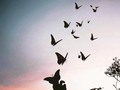 Nadie debería irse de este mundo sin despedirse,  la muerte nunca debería llegar por sorpresa, la vida deberia darnos un tiempo extra, para decirnos adios, para abrazarnos,  para decirnos todas las palabras  que se quedaron por decir,  para conversar hasta que no quede nada pendiente. El final no debería ser tan triste, la muerte no debería venir con tanta urgencia, nos tendria que dejar a solas antes de llevarnos  para que por un momento, por pequeño que fuera,  poder sentarnos en el borde de la vida  y desearnos un buen viaje. ❤️✨  -Fernando Garcia
