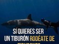 👇👇👇 Recuerda:somos las personas de las cuales nos rodeamos, somos lo que vemos, somos lo que escuchamos.