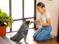 Nuestros perros merecen lo mejor, alimentar con amor es utilizar los mejores ingredientes para que tu mascota tenga una vida más feliz y saludable.   Con DOGO lo tienes todo 💚💚  #realfoodfordogs #perros #momlove #mothersday #lomejor #natural #minimamenteprocesado #heeler #barf