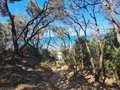 Playita time.  📍Cala Violina, Toscana, Italia.