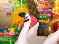 Pool party 🍍Birthday celebration Valerie & Diego. Brownie paletas .. cupcakes.. torta. Torta tropical fiesta playera. Decoracion by @partytimebykg @kristelgodinu  Cake designer @marycaya_cakes @maryclauramirez . . #poolpartycake #poolpartytheme #tropicalchic #tropicalparty #browniesmelcuchudos #browniescartagena #browniepaletascartagena #cupcakes #cartagenabakery #reposteriacreativa #reposteríacartagena #tortastematicas #tortasencartagena #tortaspersonalizadas #redmeinspira #gumpaste #fondantcake #fondantart #bakingdreams #naranjaconsemillasdeamapola #luxurycakes #cakepops #minnibrownie #popsicles