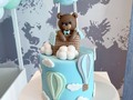 11 meses de Sebastián.. mes a mes lo hemos acompañado a celebrar por su vida. Decoración @eraseunavezdecoraciones  #babybearcake #tortaosito #marycayacakestyle #bakingdreams #trabajoenequipo #tortaspersonalizadas #tortasencartagena #cartagenabakery #vainillaconarequipe