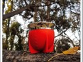 Este precioso Mate Pampa se lleva todas las miradas😍😍  En la foto: Mate Pampa térmico color rojo (no produce hongos)   ✅ Disponible en stock. No te quedes sin el tuyo! 🧉  #matepampa #matesmendoza #matenato #mates #mate #ciudaddemendoza #parquesanmartin #mendoza #bombilla #naturaleza #locosxelmate #materos #materojo #pvc #polipropileno
