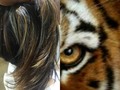 Técnica ojo de tigre 😎@mariamafe11