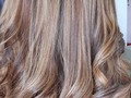 #daleunlike si te gusta 😘 💇🏼‍♀️💅 Retoque #balayage  en tono #rubiobeigedorado #mayosther clientefeliz #clientemayosther #bordadocapilar Recuerda cuáles son nuestros servicios aquí en #mayosther  Makeup  Manicure  Pedicure Hidratación  Balayage  Flaboyage  Tintura Rayitos Corte de dama y caballero  Cepillado !Agenda Tu cita YA! 📝 ⏰Horario de Atención:Lunes a Sábado  8:00 Am-7:00Pm horario continuo  Agenda tu cita Ya y déjanos atenderte 📱WhatsApp: 📍 +57 312 6320860 1067928848 Montería Cll 31 #12-72 • • • • #uñas#uñasmonterìa #acrilicas #nails💅#nailscolombia #acrilico#decoracion#uñasdecoradas # #salondebelleza#belleza#estetica #profesionaldelsector#love#girls#chicas#amigas #flamboyage #balayage #igora #loreal #majirelglow #rubioceniza