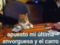 JAJAJAJAJAJAJAJAA  Créditos @agathosvay