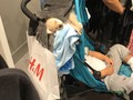 si no es porque el perro abrió los ojos, hubiera jurado que era un peluche