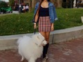 Comenta el nombre de tu mascota 👇🏻 Los mios se llaman Milo Valentino y Antonella Caramela 🐱 (Este es el perrhijo de mi hermana y se llama Flash 🐶)
