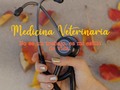 Es mi estilo de vida ⚪⚫⚪⚫⚪⚫⚪⚫⚪⚫⚪⚫ 🖊 Comentanos en tus publicaciones @medico.veterinario #⃣ Usa el hashtag #medicovet 📷 Mándanos tus fotos o vídeos por DM queremos ver cómo es tu día a día. 🔹🔸🔹🔸🔹🔸🔹🔸🔹🔸🔹🔸🔹 #veterinario #estudianteveterinario #veterinary #medicinaveterinaria #veterinaria #vetlife #medvet #animales #medicoveterinário #vetfrases #vetfrase