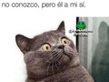 #humor #chistetipico #chistes #chiste #comedia #lol #frases #hahaha #meme #risas #instagood #memes #risa #love #elmejorhumor #laugh #ecuador #allyouneedisecuador #ecuadorian