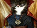 El futuro alterno de Cat Strange - para mas chistes: Click aqui