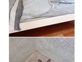 Snapchats de gatos como protagonista que te alegrarán el día - para mas chistes: Click aqui