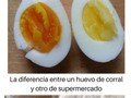 Comparaciones entre comida que no te dejarán indiferente - para mas chistes: Click aqui
