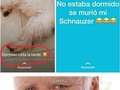 Acompáñenme a ver esta triste historia - para mas chistes: Click aqui