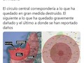 Increíble el daño provocado en Beirut - para mas chistes: Click aqui